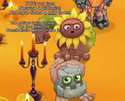 Shouldn’t have gone to the forest