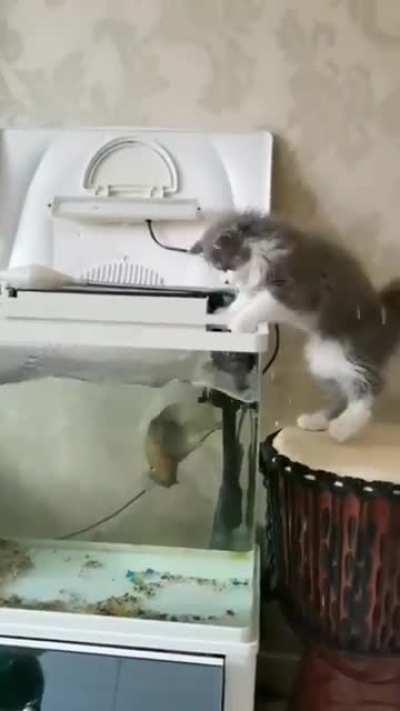 Who is hunting for whom?