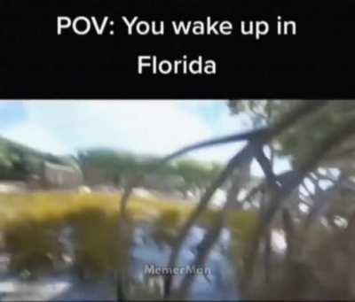 Average day in Florida