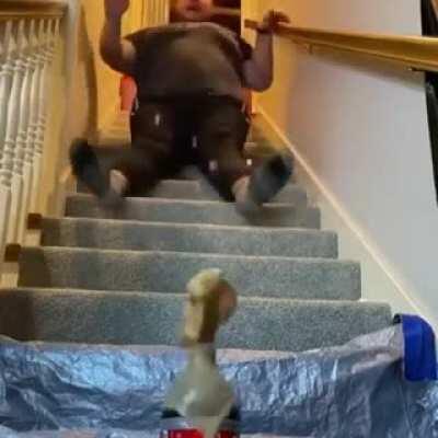 No possible way that could go wrong