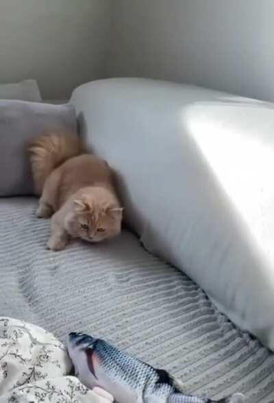 Don't get excited baby