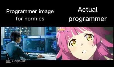 How did you know they're real programmer