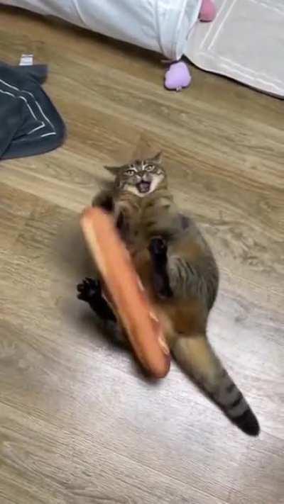 Battle with baguette