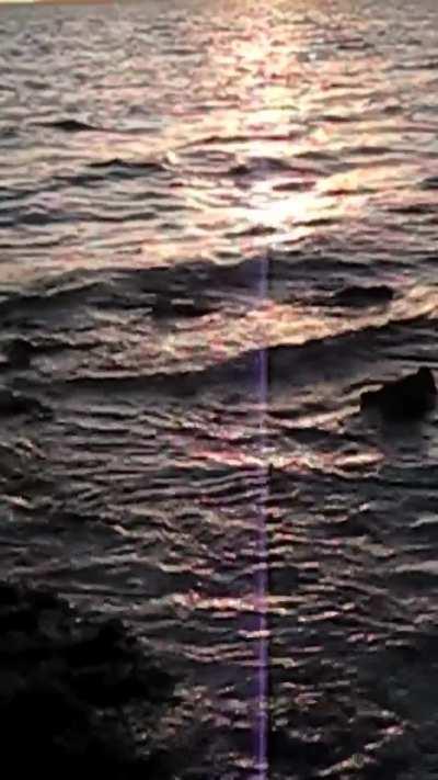 Tiwa Savage (Nigerian Afrobeats Singer)