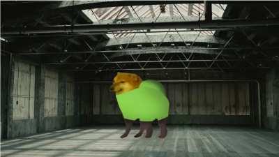 le sharp dressed cheems has arrived