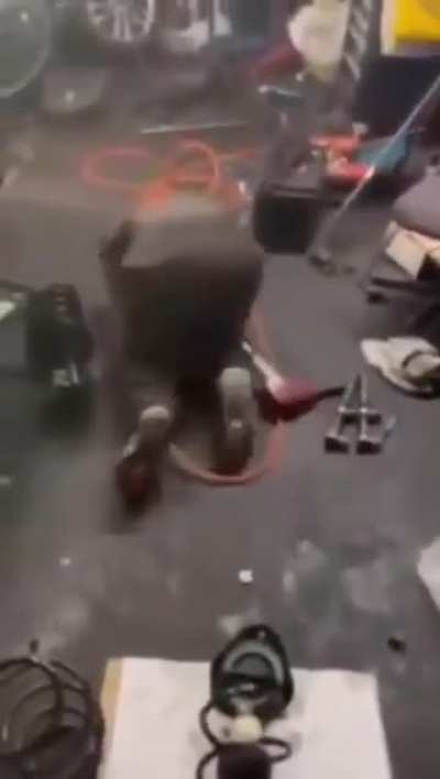 He's not going to procreate. Probably a good thing.