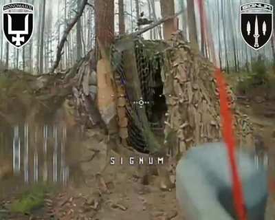 Ukrainian fiber-optic FPV drones of the Signum Battalion destroyed Russian military shelters and positions. Lyman direction. 31.08.2025