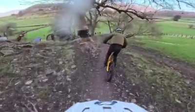 Thanks for opening the gate!