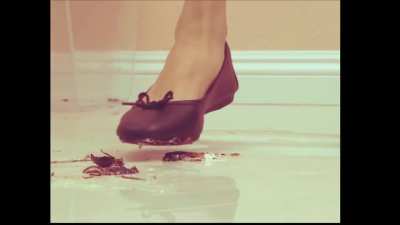 Girlfriend crushes my pets