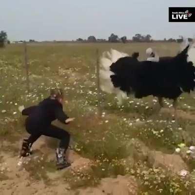 Check out those moves!