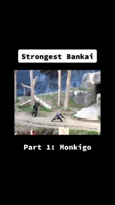 Just finished my 3rd Bleach anime watch and my friend sent me this. I'm dead