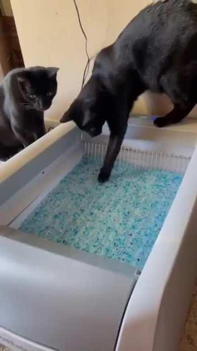 Nope, not using this thing