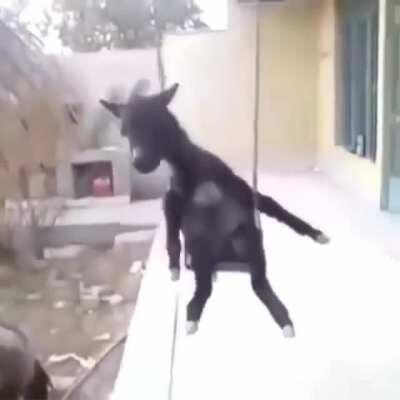 عندما يريد العالم أن ‪يتكلّم ‬ ، فهو يتحدّث