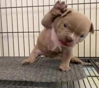 She Said Let ‘em Know That I'm Here