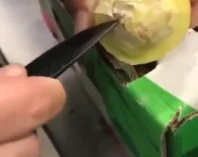 Немного не дозрел