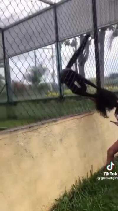 some people need to stop going to the zoo