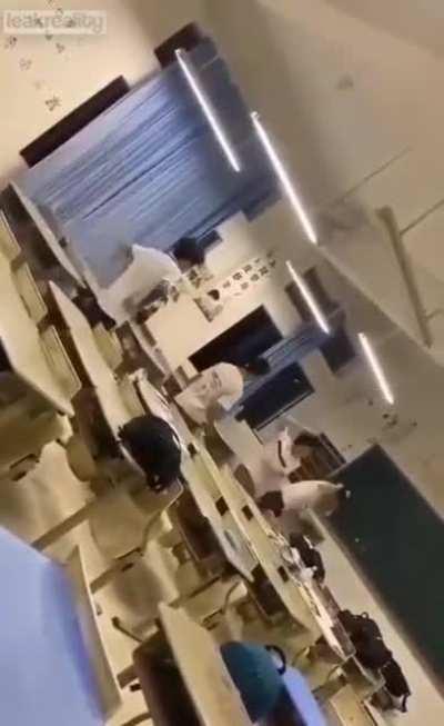 Kid Goes Apeshit On Bully In China