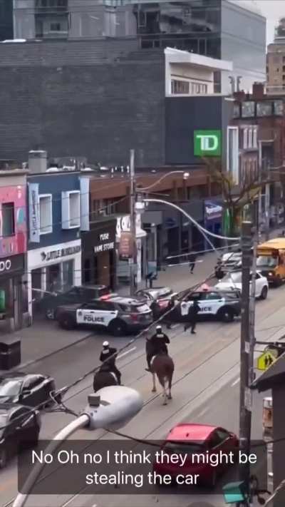 Car theft in Toronto