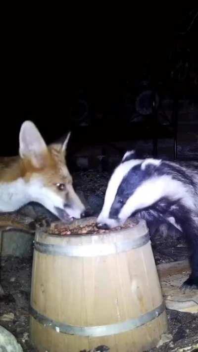 For those of you who read the book 