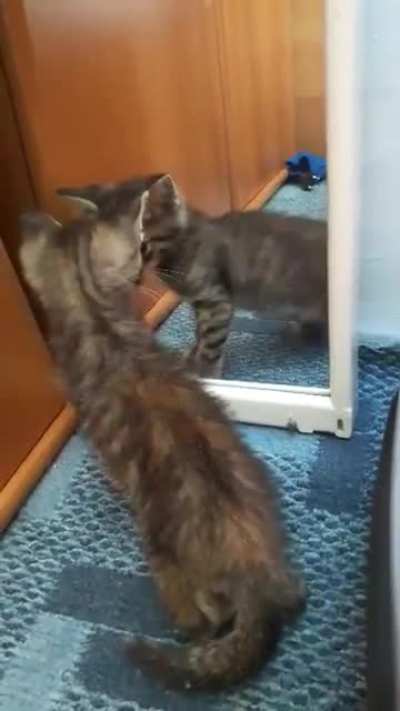 She must fight her reflection