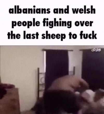 Submissive and breedable