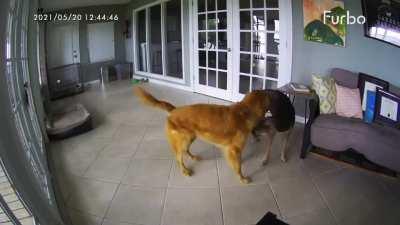 Let me help you friend