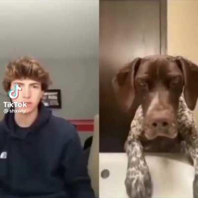 mfw dawg ( praise spez )