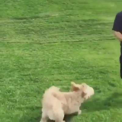 How to create 10 megavolts of static electricity.