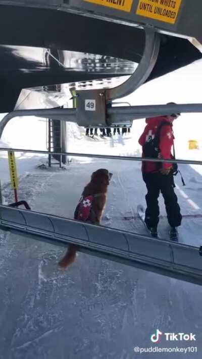 Not my video: Goodest boye on pawtrol