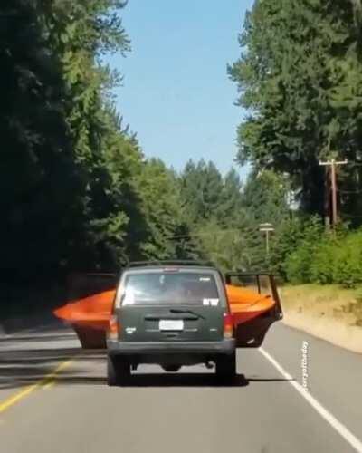 Someone's brain could use more wrinkles