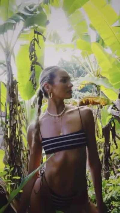 Tropic of C - Get Graphic Collection IG Story