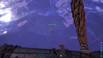 Ark has a scary ocean