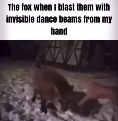 But does the fox dance?