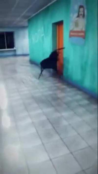 The editing of this video