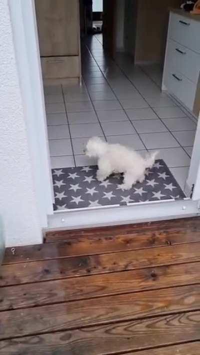 It's my house and I like it clean. 🐰😜