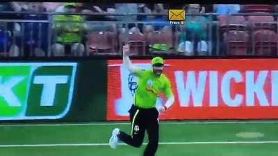 Stunning catch by Ben Cutting