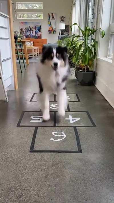 Doggo has understood the assignment..