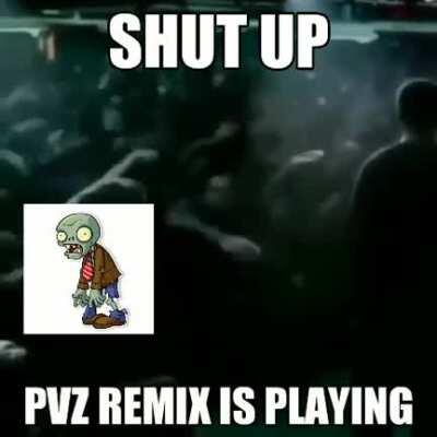 Bro shut up pvz remix playin