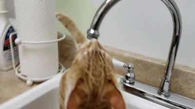 What is going on with that leg?