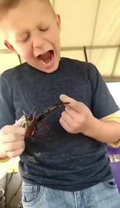 Kid learns about crayfish