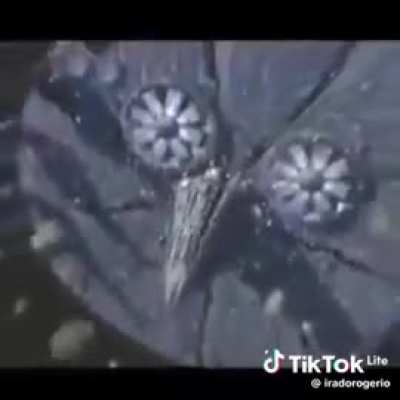 Shadow o ouriço é um filho da pura do caralho