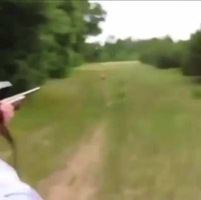 There’s an endangered species right there