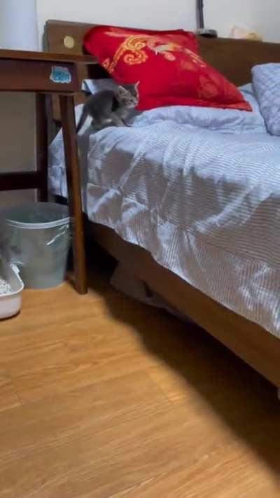 Nothing can stop him.