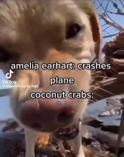 Figured the big man would like these