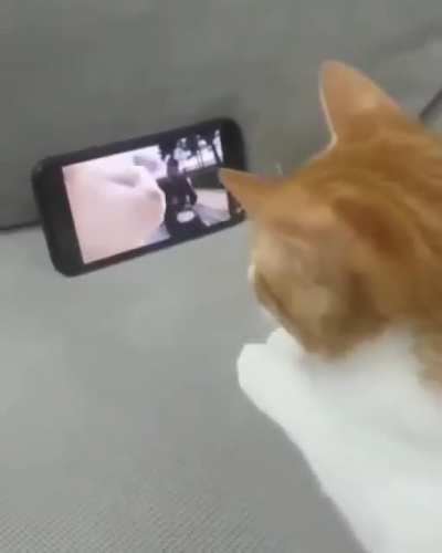 Любимый клип