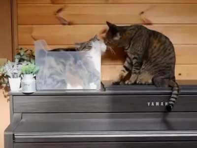 favorite place❣️