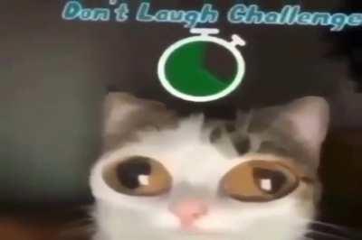 Betcha can't cuz u crign