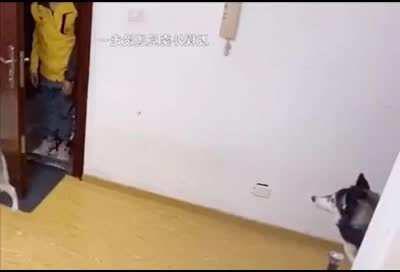 Okay, now your purpose is over