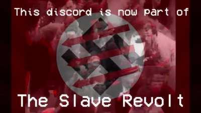 Haha based speertard lets go