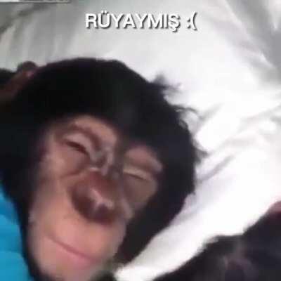 Aga bizim yüzümüz ne zmn gülecek 😔